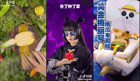 抖音课程：2天能学会的抖音运营，没必要瞎琢磨1年！