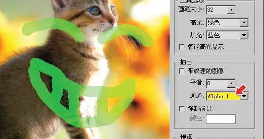 ps钢笔工具怎么填充颜色_ps钢笔工具画图填充颜色_ps钢笔工具填充颜色