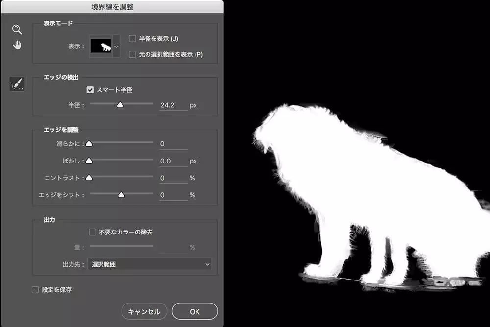 ps调整边缘在哪里_边缘调整画笔工具在哪儿_边缘调整快捷键