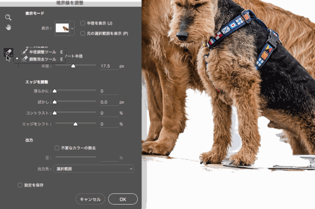 边缘调整工具在哪_边缘调整快捷键_ps调整边缘在哪里