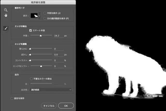 边缘调整工具在哪_ps调整边缘在哪里_边缘调整快捷键
