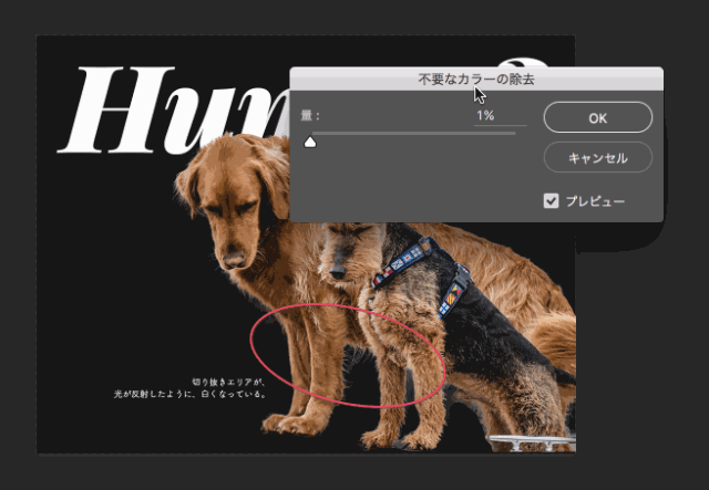 ps调整边缘在哪里_边缘调整工具在哪_边缘调整快捷键