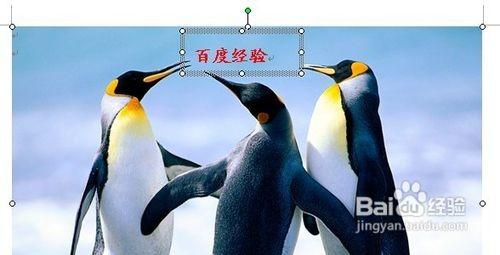 word2010中如何给图片加水印