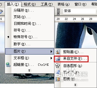 word2010中如何给图片加水印