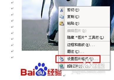 word2010中如何给图片加水印