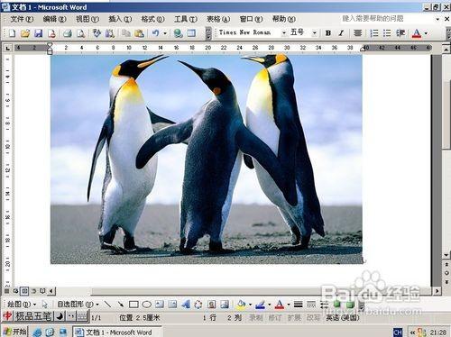 word2010中如何给图片加水印