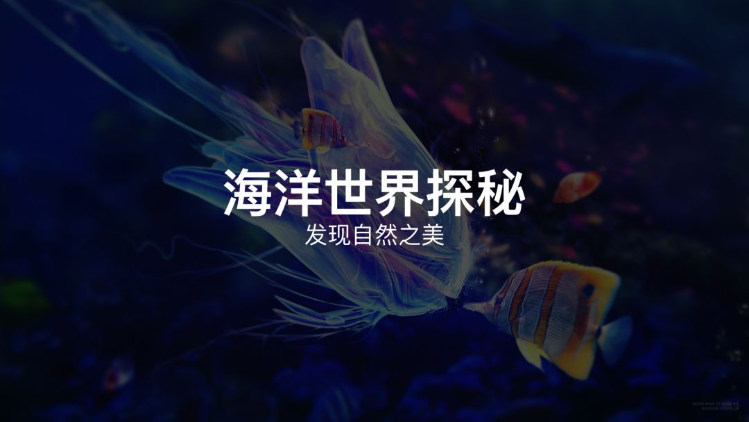 ppt字间距怎么调_字间距ppt_字距在哪里设置ppt