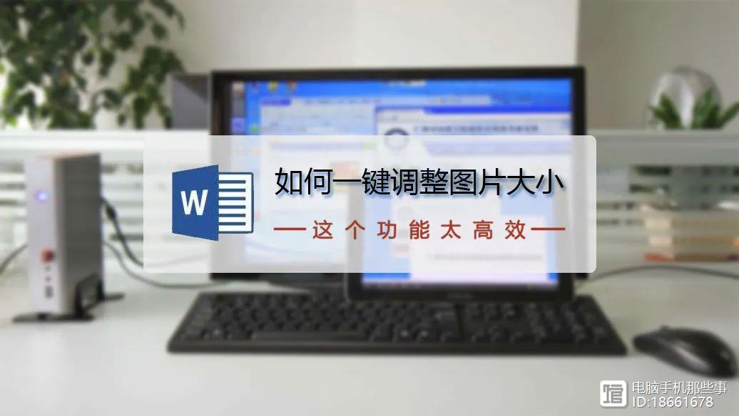 word里的图片统一大小_向word文档插图片怎么统一大小_向word文档插图片怎么统一大小
