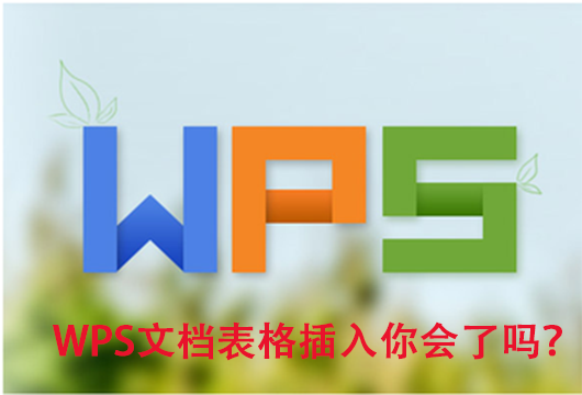 “WPS文档表格插入”你不知道的事！