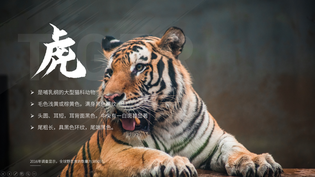 ppt怎么设置图片背景_背景图片设置为邀请函背景图_背景图片设置为海报背景