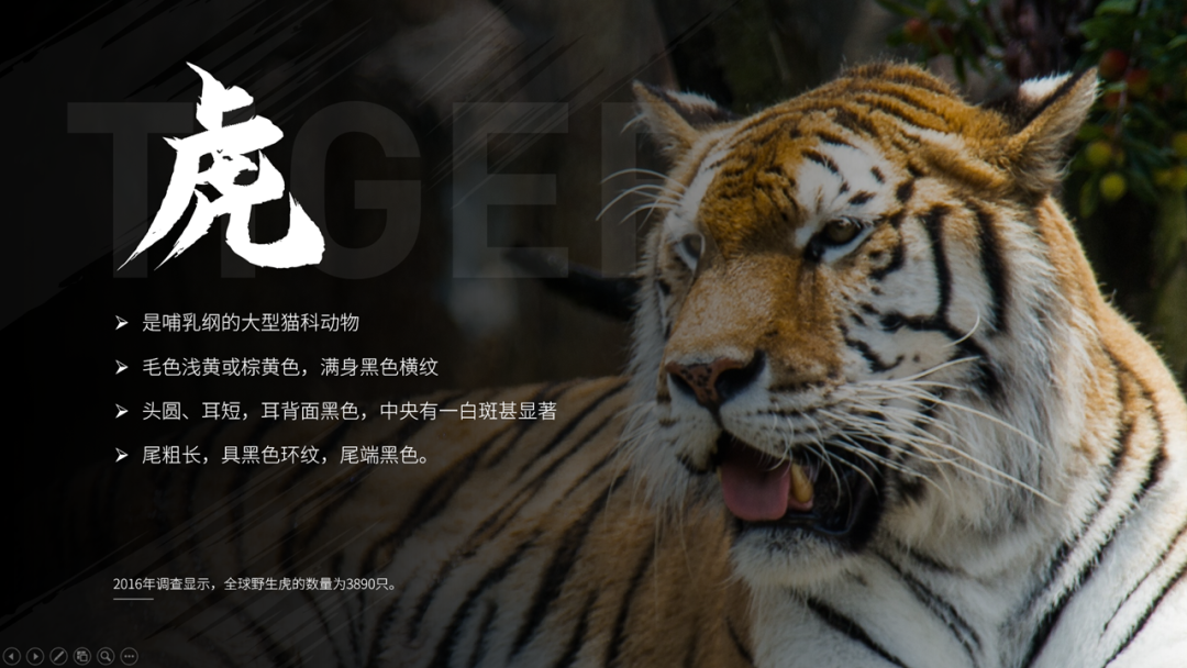 ppt怎么设置图片背景_背景图片设置为海报背景_背景图片设置为邀请函背景图