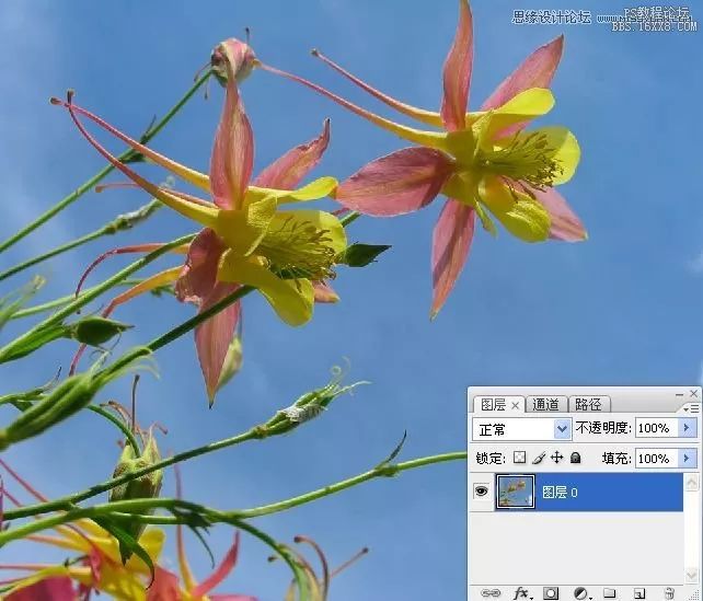 背景更换颜色ps_ps中怎么换背景颜色_ps背景图颜色替换